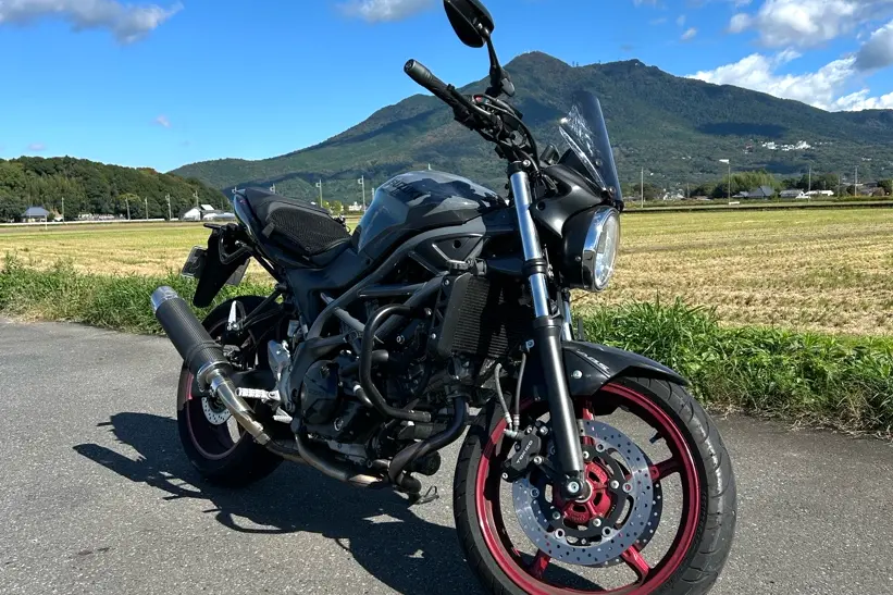 さんさい菜園のさつまいも農場の様子