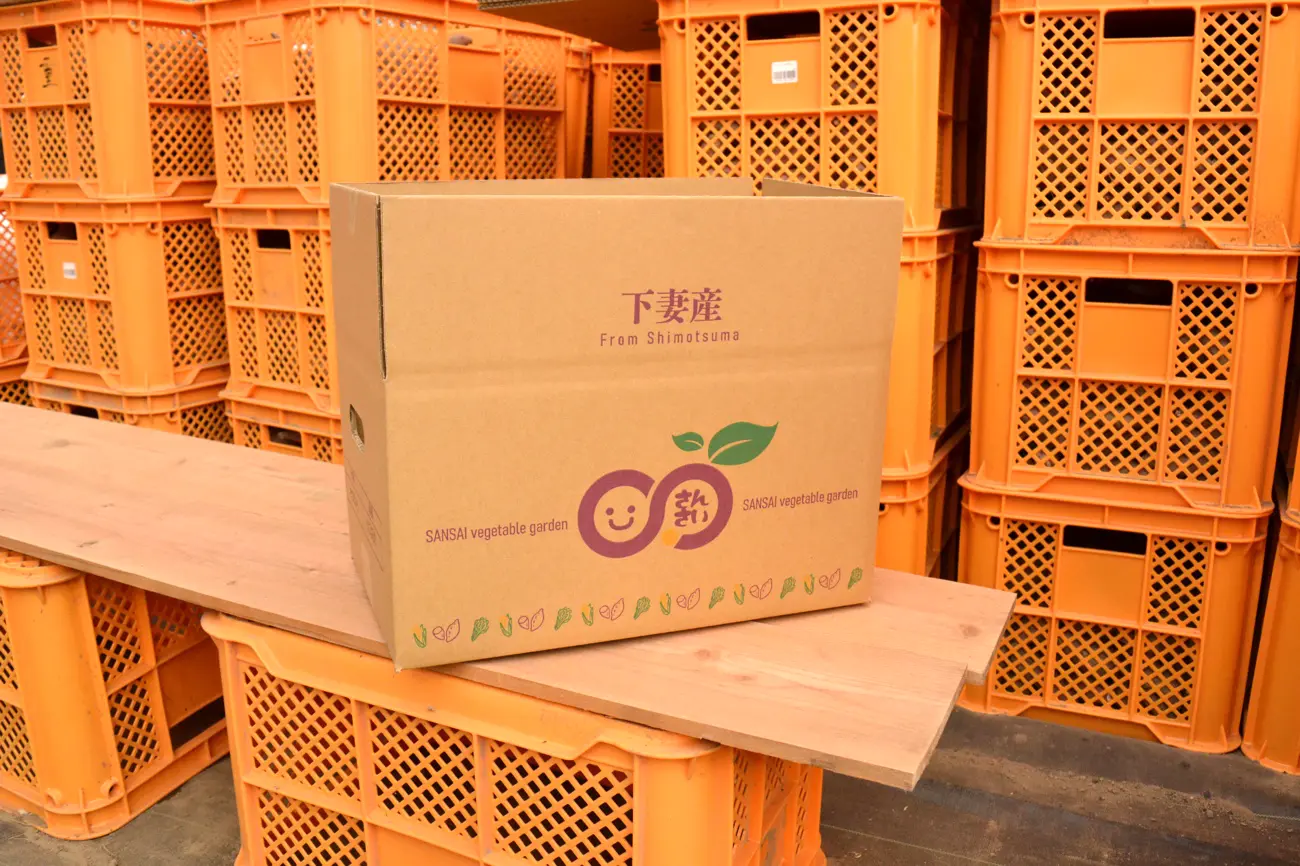 さんさい菜園ロゴ入りの出荷用段ボール箱