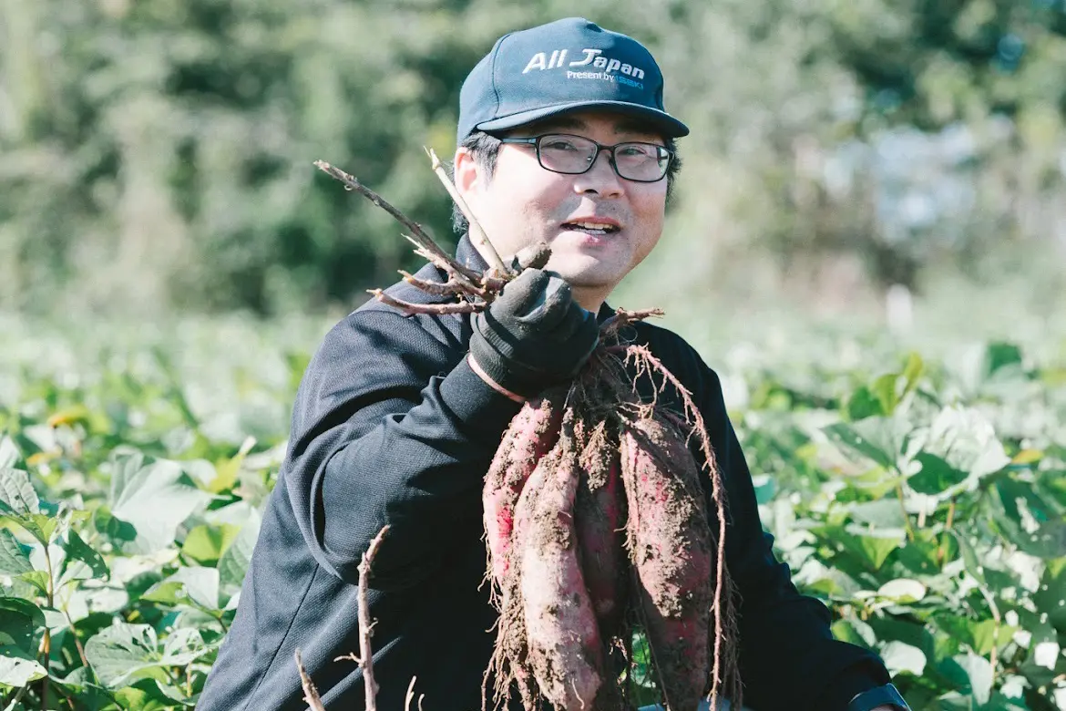 訳あり茨城県産熟成さつまいも「紅はるか」5〜10kg