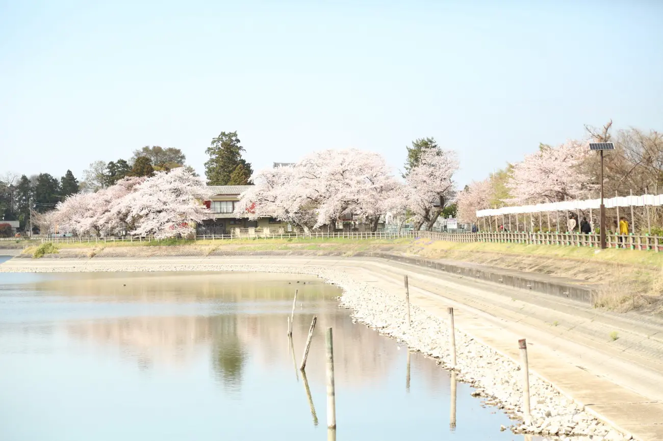 砂沼広域公園の景色