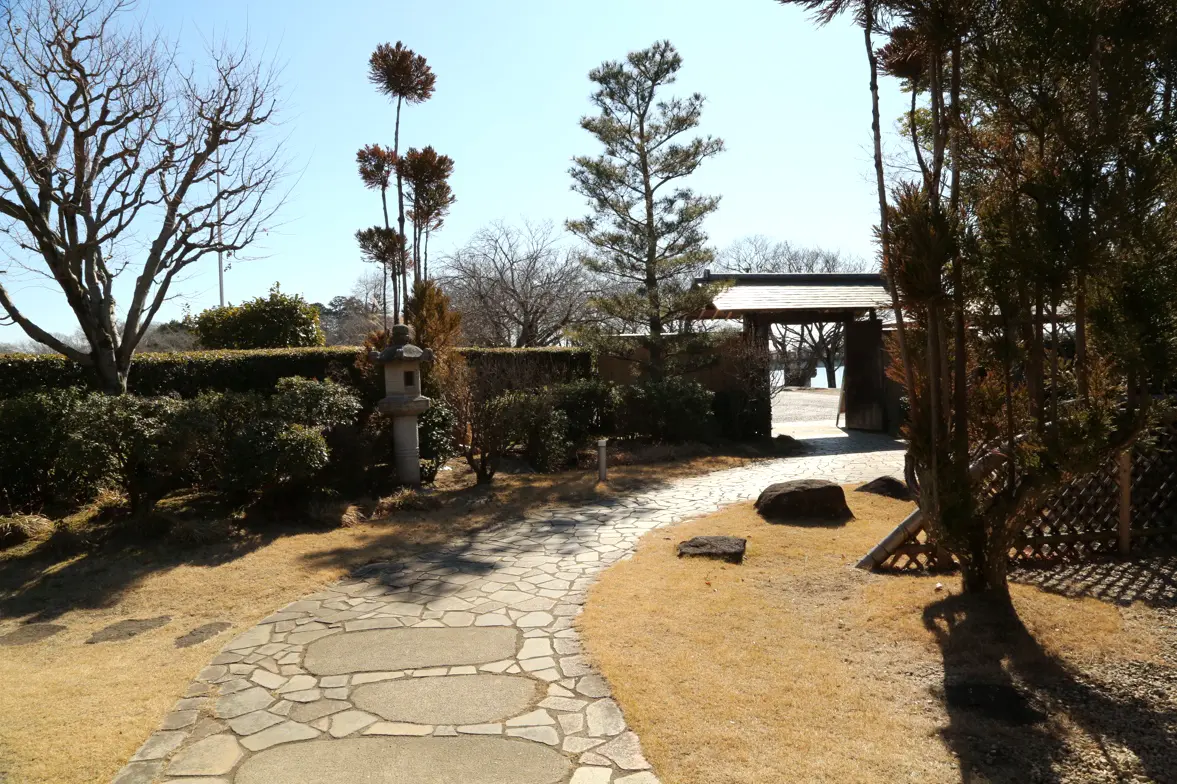 砂沼広域公園観桜苑の桜並木