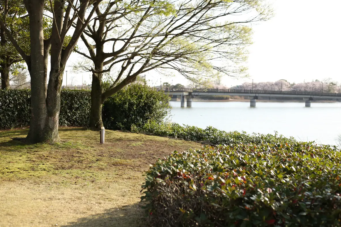 砂沼庵の本格的な四畳半の茶室
