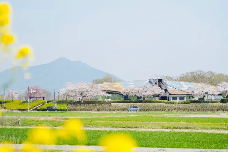 ホーミックふれあい公園の様子
