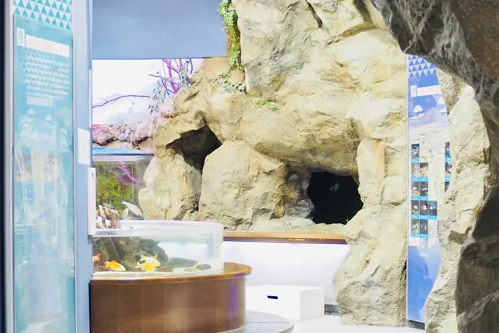 大きな蝶（国蝶オオムラサキ）をかたどったネイチャーセンターの外観