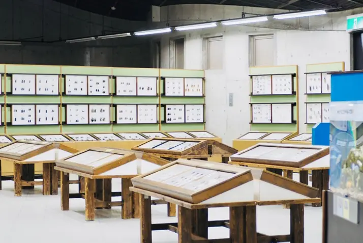 ネイチャーセンター内のミニミニ水族館や昆虫展示室の様子