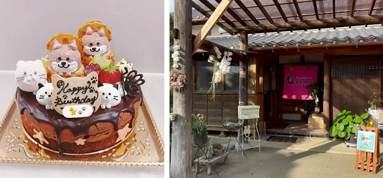 パティスリーコトルの可愛らしいお菓子と店舗の様子